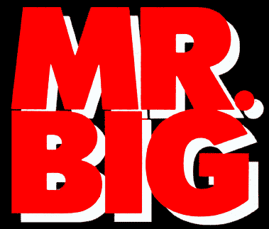 MR.BIG logo